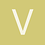 vidyann